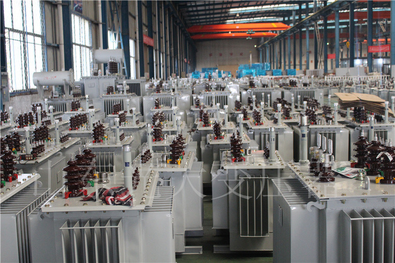 任县S22-800KVA/10KV